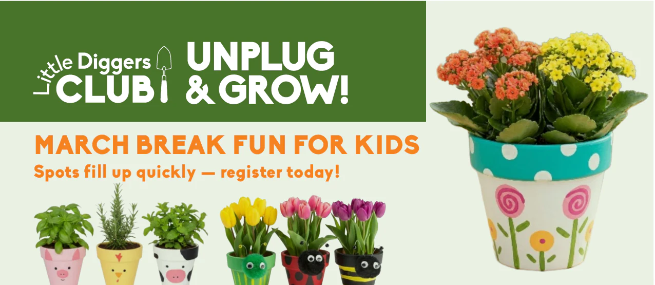 Cultivate Your Dream Outdoor Space